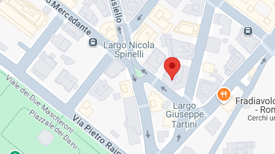 Immagine Google Maps di N&P Tech, azienda specializzata nello sviluppo di software personalizzati, soluzioni digitali e gestionali assicurativi.